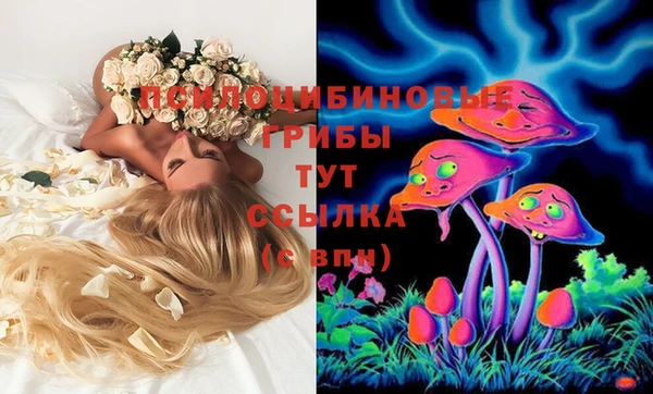 ешки Баксан