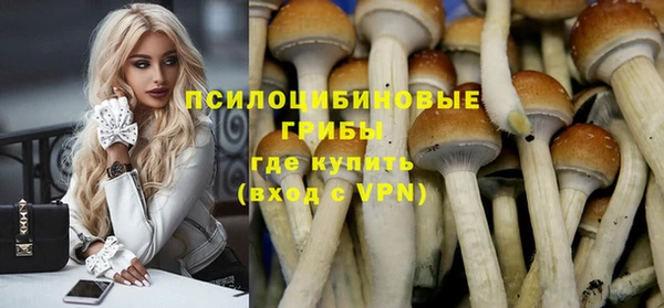 ГАЛЛЮЦИНОГЕННЫЕ ГРИБЫ Белокуриха