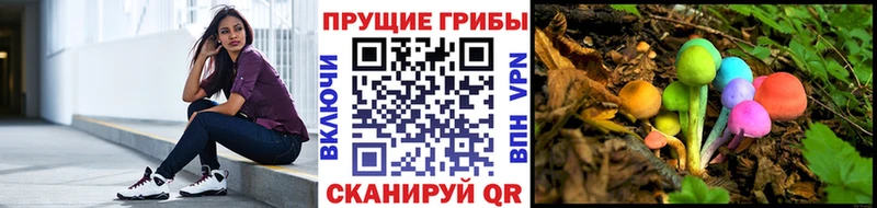 Галлюциногенные грибы Cubensis  Коряжма 