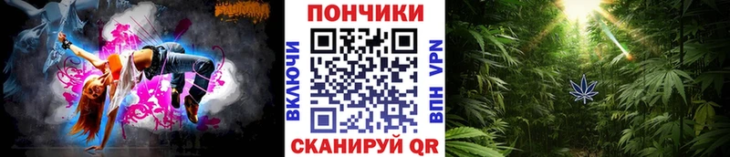 Бошки марихуана гибрид  Коряжма 